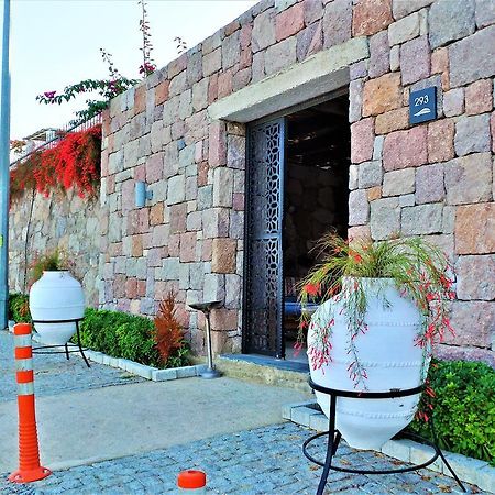 Sunset Mavi Villa Turgutreis Exterior photo