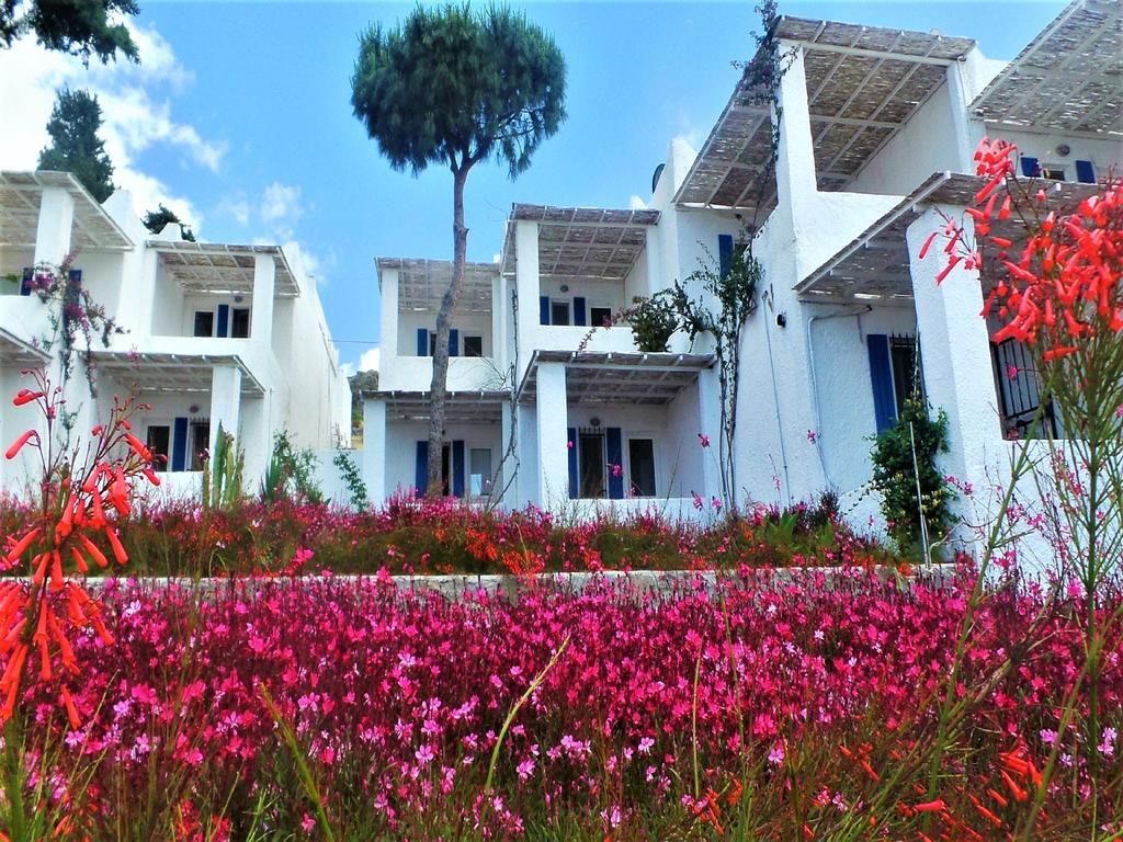 Sunset Mavi Villa Turgutreis Exterior photo